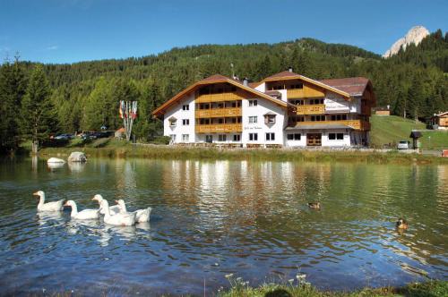 Canazei Hôtel | Wellness Hotel Lupo Bianco