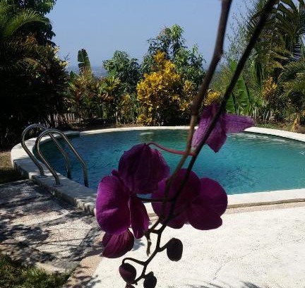 Negara Maison | West Bali Villas-Umasari Resort