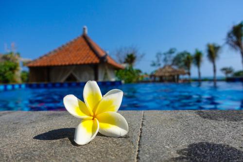 Mendoyo Hôtel | West Break Bali - Medewi