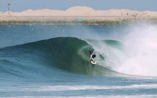 Barra Appartement | Wherry Green Guest House (PRAIA DA BARRA)❤️