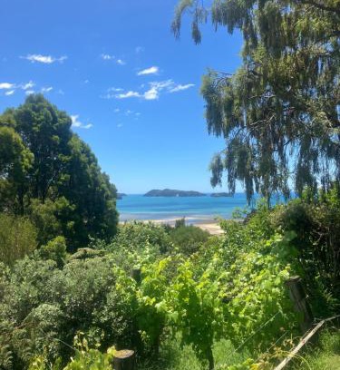 Ngaio Bay Maison | Whitebait Point