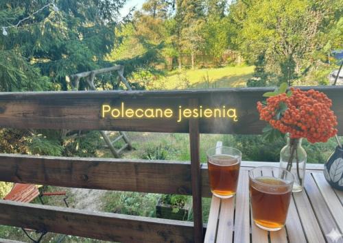 Podjazy Maison | Widny Jaś zaprasza z psem nad jezioro na Kaszubach