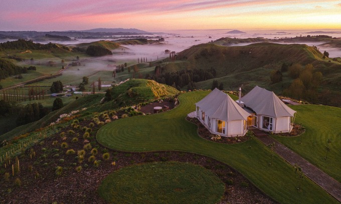 Te Kuiti Autre | Wild Canvas - Pōhutukawa Tent