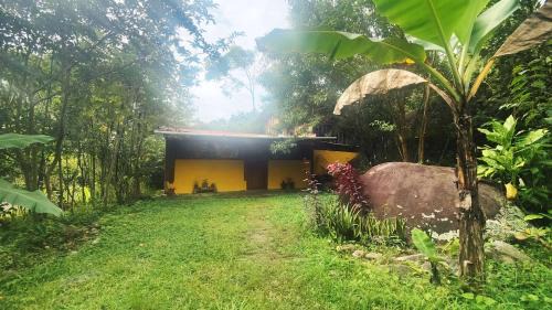 Rivas Maison | Wild Nest Chirripo