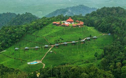 Devala Station Balnéaire | Wild Planet Jungle Resort