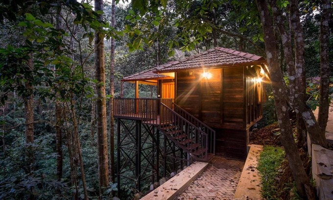 Devala Hôtel | Wild Planet Resort