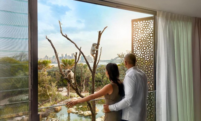 Mosman Hôtel | Wildlife Retreat at Taronga