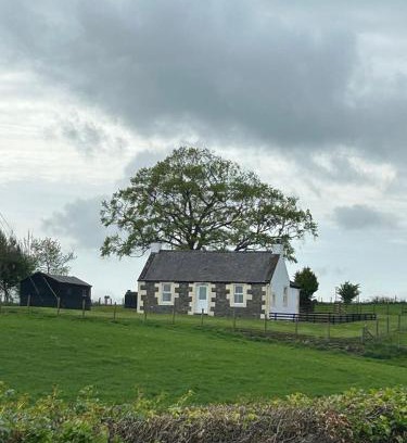 Newbridge Maison | Williamsfield Cottage