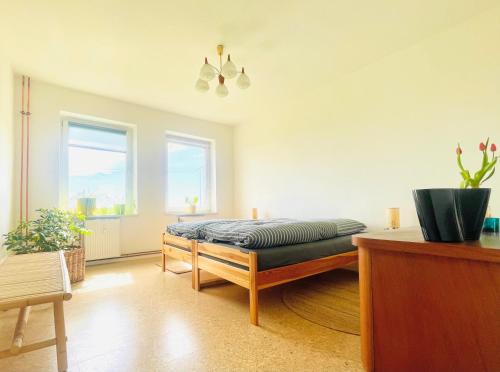 Zettemin Appartement | "Willkommen im Zetthaus" Welcome! Witamy! Vitejte! - Familienfreundliche Ferienwohnungen in der Mecklenburger Seenplatte