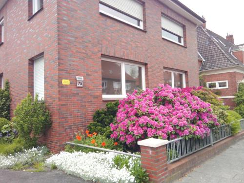 Barenburg Appartement | Wind & Wasser