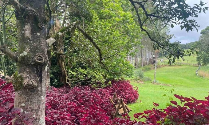 Rosebank Autre | Windaboo @ Rosebank Byron Hinterland Estate