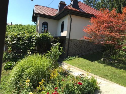 Videm Maison | Wine & Nature & Tour