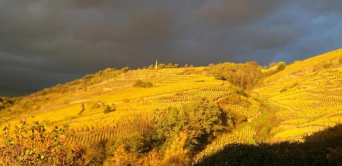 Chavanay Maison | Wine Passion Panoramic