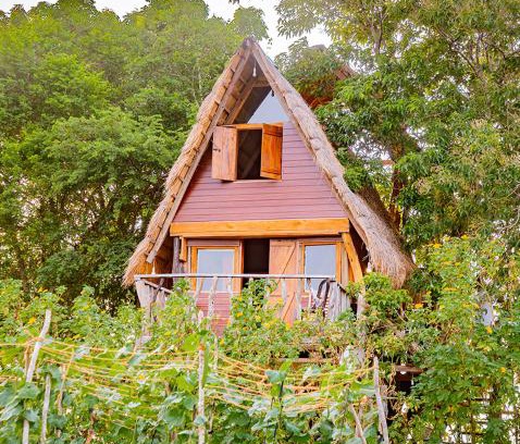 Moragaswewa Autre | Wisdom Camping and Glamping