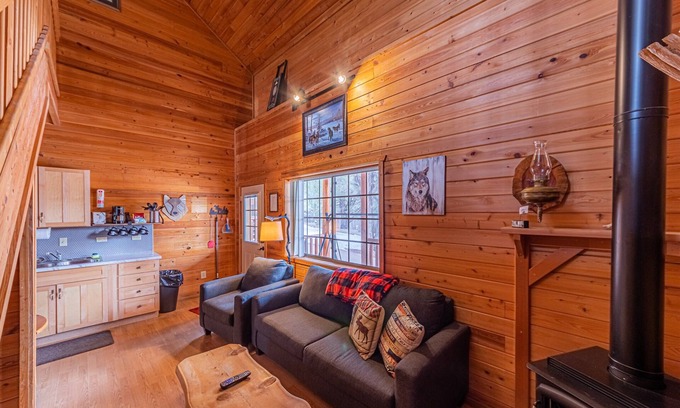 Christopher Creek Cabine | Wolves Den Cabin,WIFI, game room - Backs Tonto Forest, stocked kitchen, heat AC