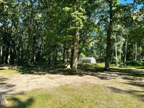 Dranske Autre | WoMo Stellplatz am Ferienpark Bernstein