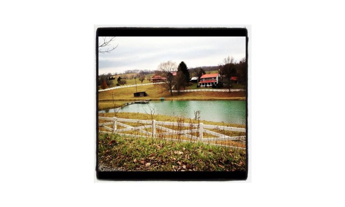 Wytheville Cabine | Wonderful Log Cabin with plenty of privacy, yet only minutes from Wytheville!