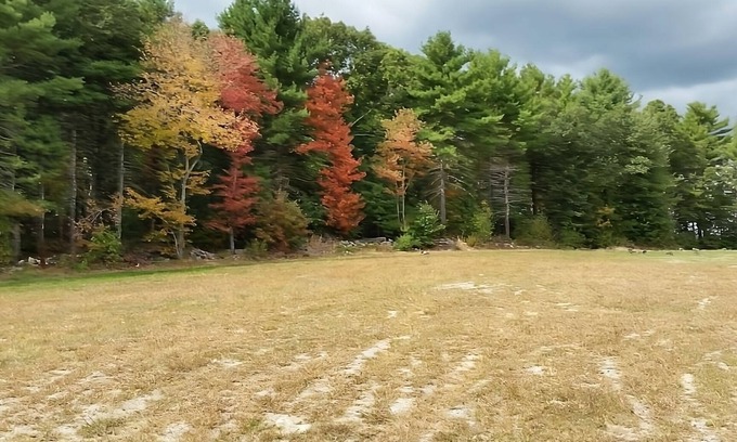 Foxboro Hôtel | Wonderful Trip! 2 Relaxing Units w/ Free Breakfast & Free Parking!
