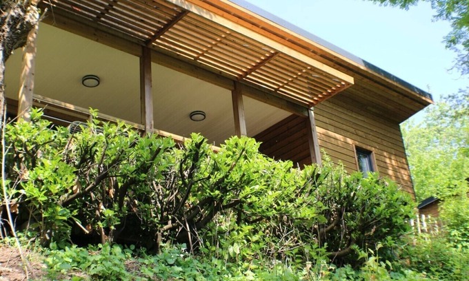Saint-Constant-Fournoules Chalet De Ski | Chalet bois dans petit camping 3 étoiles