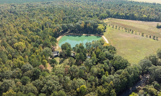 Clinton Cabine | Charming Woodland Retreat - 27 Miles from Bryant-Denny Stadium