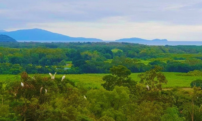 Mowbray Maison | WYBALENA Entire Private Home, Ocean and valley views Tropical Oasis Pool Garden