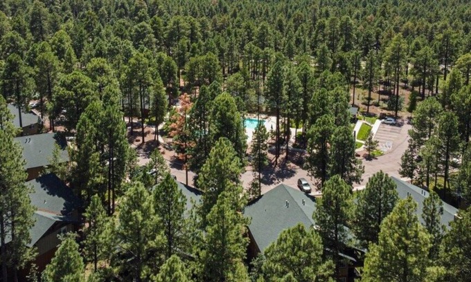 Pinetop Appartement | Wyndham Pinetop - Stunning Studio
