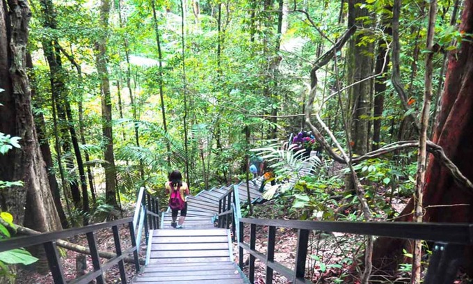 Kuala Tahan Hôtel | Xcape Resort at Taman Negara