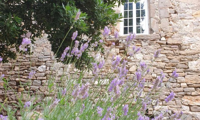 Canet Autre | Château du XI ième siècle