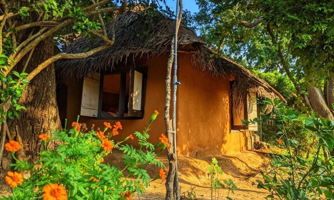 Palatupana Cabine | Yala Jungle Haven