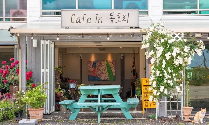 Yangyang Maison | Yangyang Bono Pet-friendly Pension