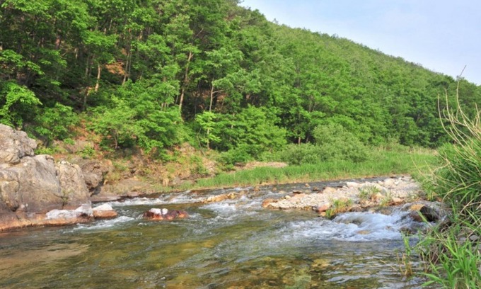 Yangyang Maison | Yangyang Pool&valley Camping Place
