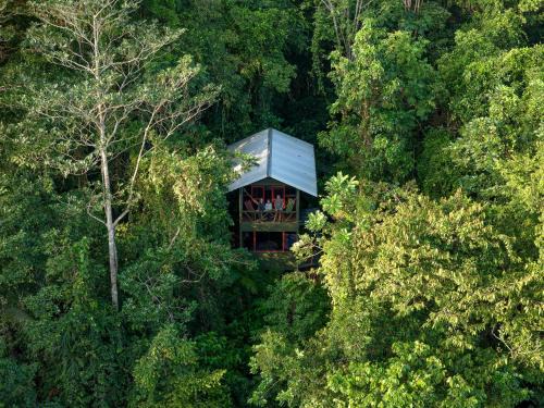 Las Horquetas Cabine | Yatama Rainforest Ecolodge