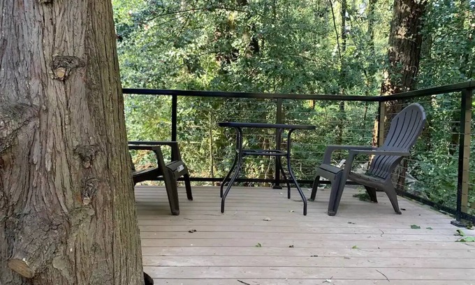 Cedar Hills Cottage | Yeti's Tree House: Where Dreams Come True
