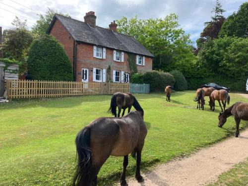 Landford Maison | Yew Tree Cottage