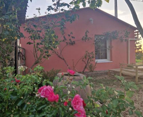 Montrevault-sur-Evre Appartement | Ylang maison au calme en campagne