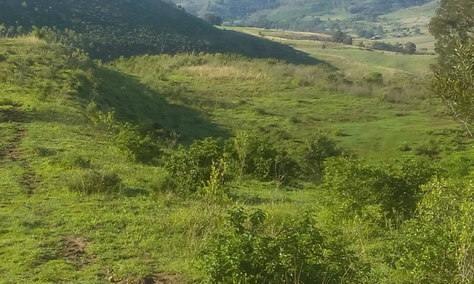 Ingoldsby Autre | Votre pays s'échappe dans la vallée de Lockyer