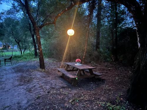 DeLand Autre | Your Personal 'Glamp' Site! AC - BBQ - Fast WiFi