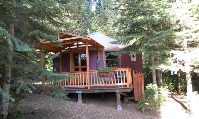 Cedar Ridge Cabine | Yourte sur un alpaga Belle Ranch