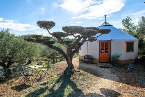 Camarles Autre | Yurta Mongola Delta del Ebro