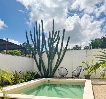 Centro Maison | Yuxtal