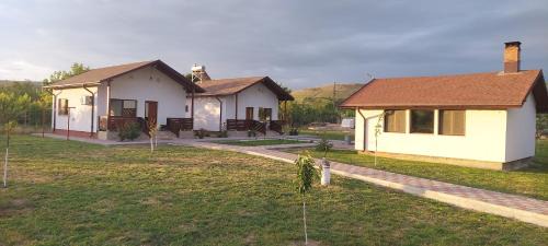 Peceneaga Maison | Zander House