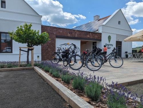 Zánka Hôtel | ZÁNKAPU -Hotel for You- Adult & Bike Friendly 3-Room B&B with Local Wine, Terrace & Káli-medence Experience