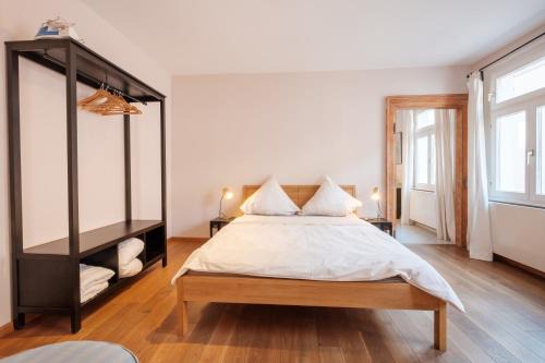 Baden Baden Old Town Appartement | Zaunkönig Apartments
