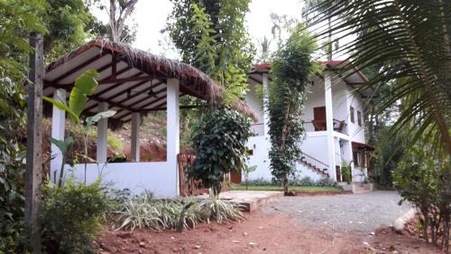 Rattota Maison | Zee's Garden