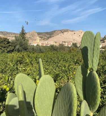 Huerta de Arriba Appartement | ZEN à RICOTE