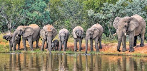 Vaalwater Cabine | Zenara Lodge 2