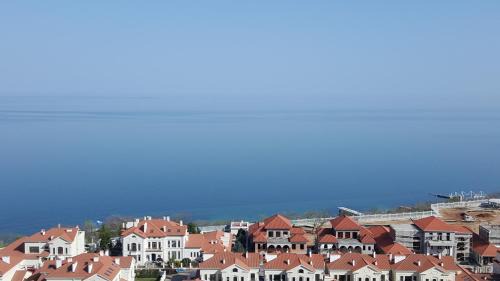 Arcadia Appartement | Zhemchuzhyna Apartment in Arkadiya