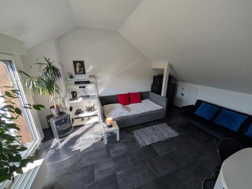 Koenigswinter Maison | Zimmer "Ölberg" im Siebengebirge