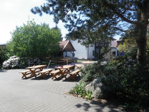 Chorin Appartement | Zum Sudhaus im Herzen der Schorfheide