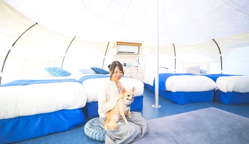 Chambre Quadruple Confort, 4 chambres, non-fumeurs (Dog Suite Tent, Pets allowed)